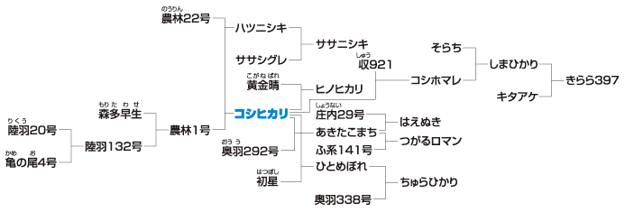 図